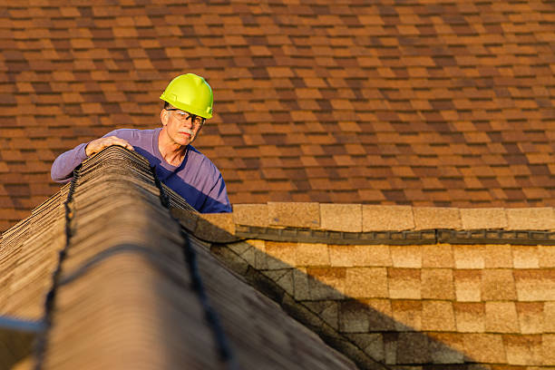 Roof Gutter Cleaning in West Pelzer, SC